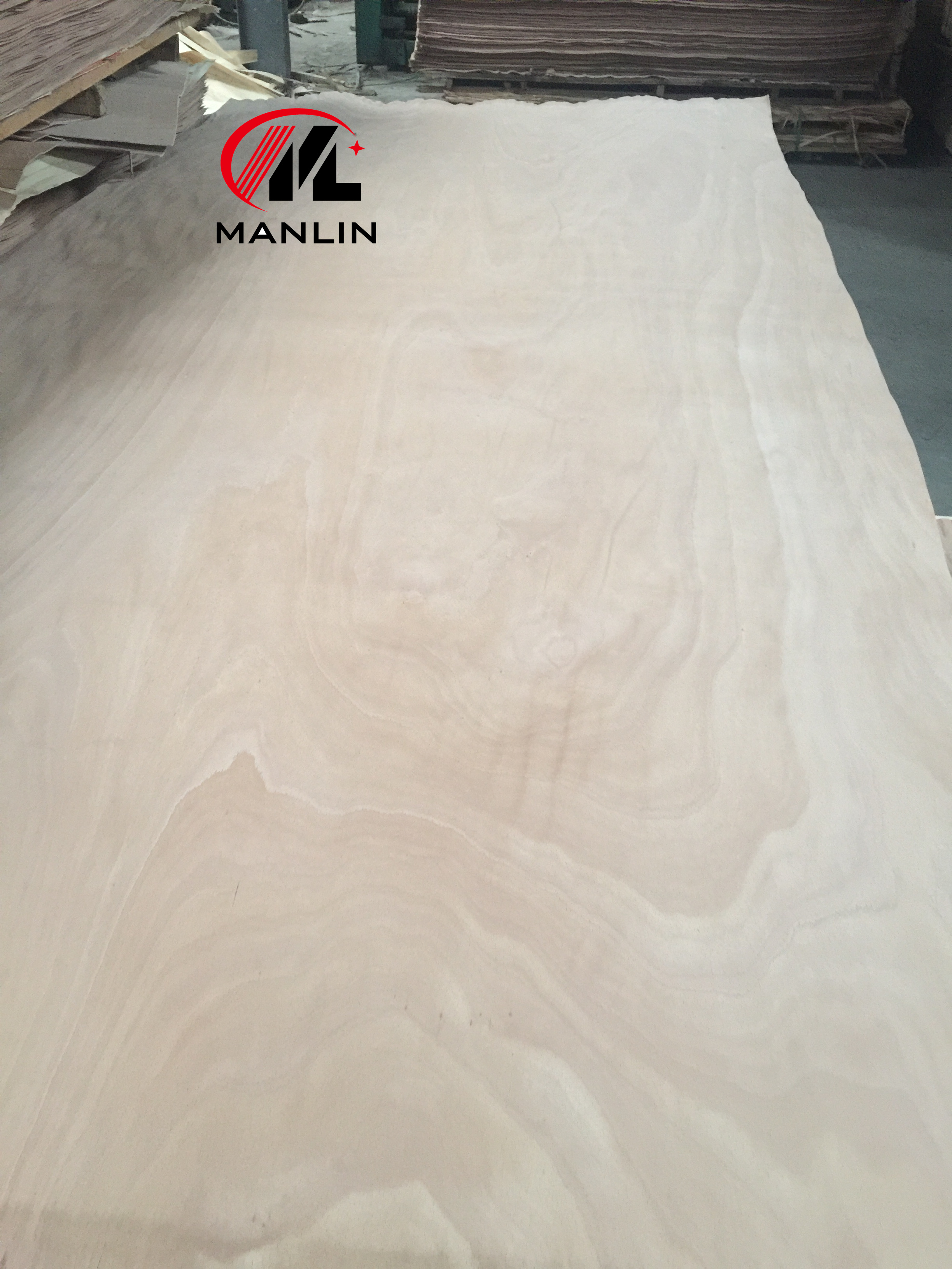 Beech veneer