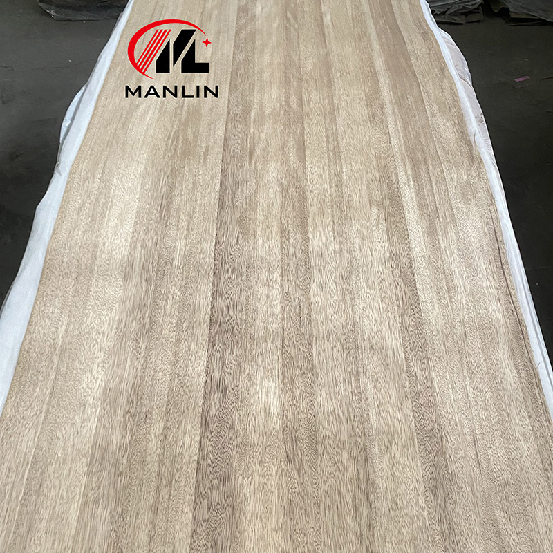 TB Terminalia Veneer Manlin